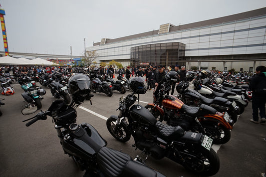 Joints Japan Show with Black Parade