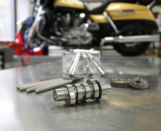 S&S Cycle-100Hp Cam and Pushrods for M8