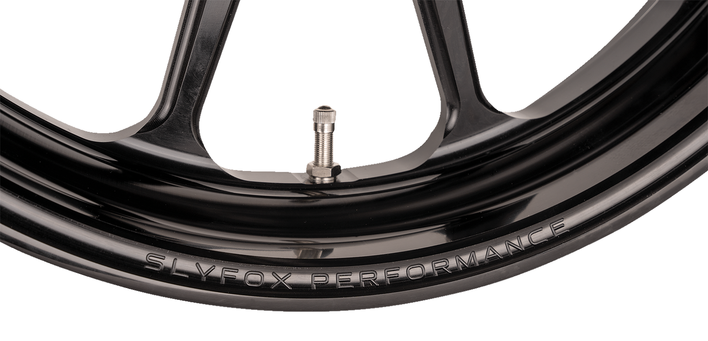 SLYFOX Track Pro Front Wheel - 19x3 inches for Dual Disc Systems, Black - Part #12027905RSLYAPB