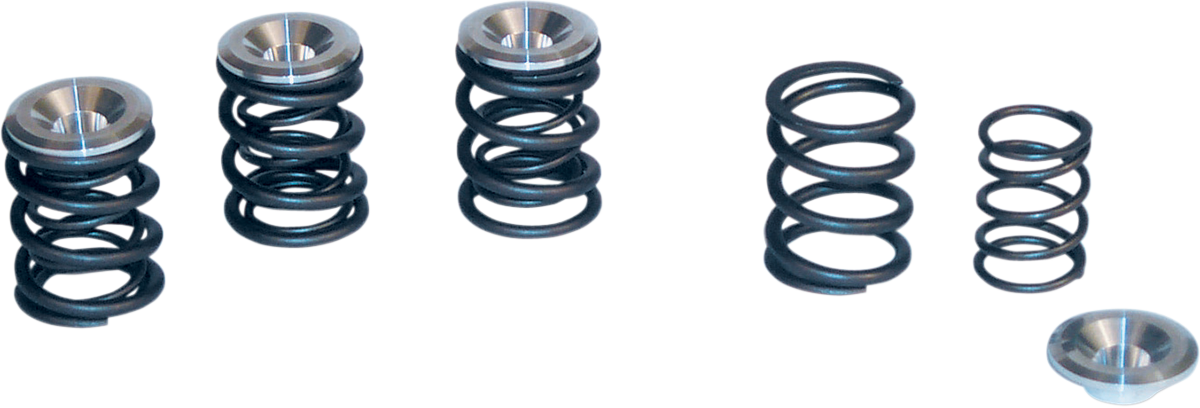 S&S Cycle Valve Spring Kit 0.550" Lift for Panhead and Shovelhead Engines 48-84 | Part No. 90-2053