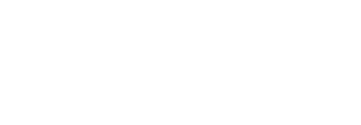 V-TwinVisionary logo