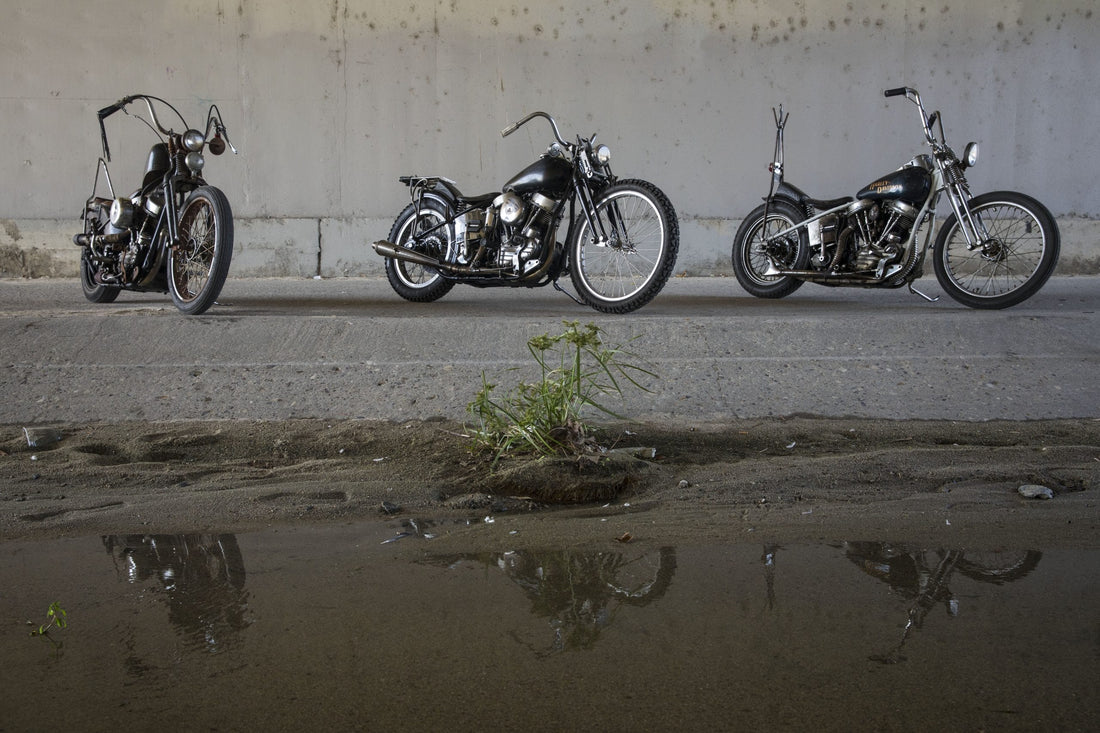 Three 54's