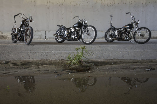 Three 54's