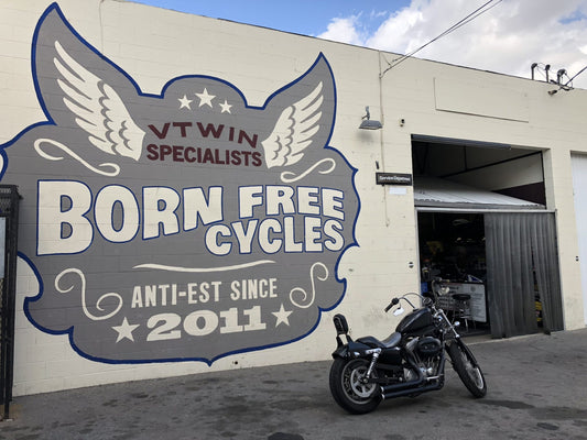 SPEED DEALER: BORN FREE CYCLES