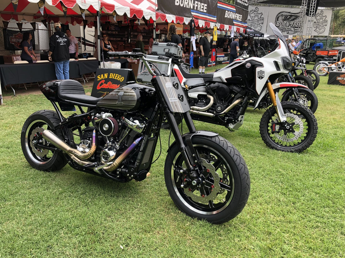 The H-D Softails of Born Free