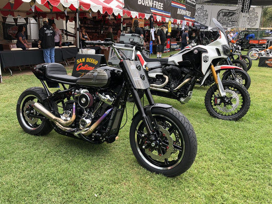 The H-D Softails of Born Free
