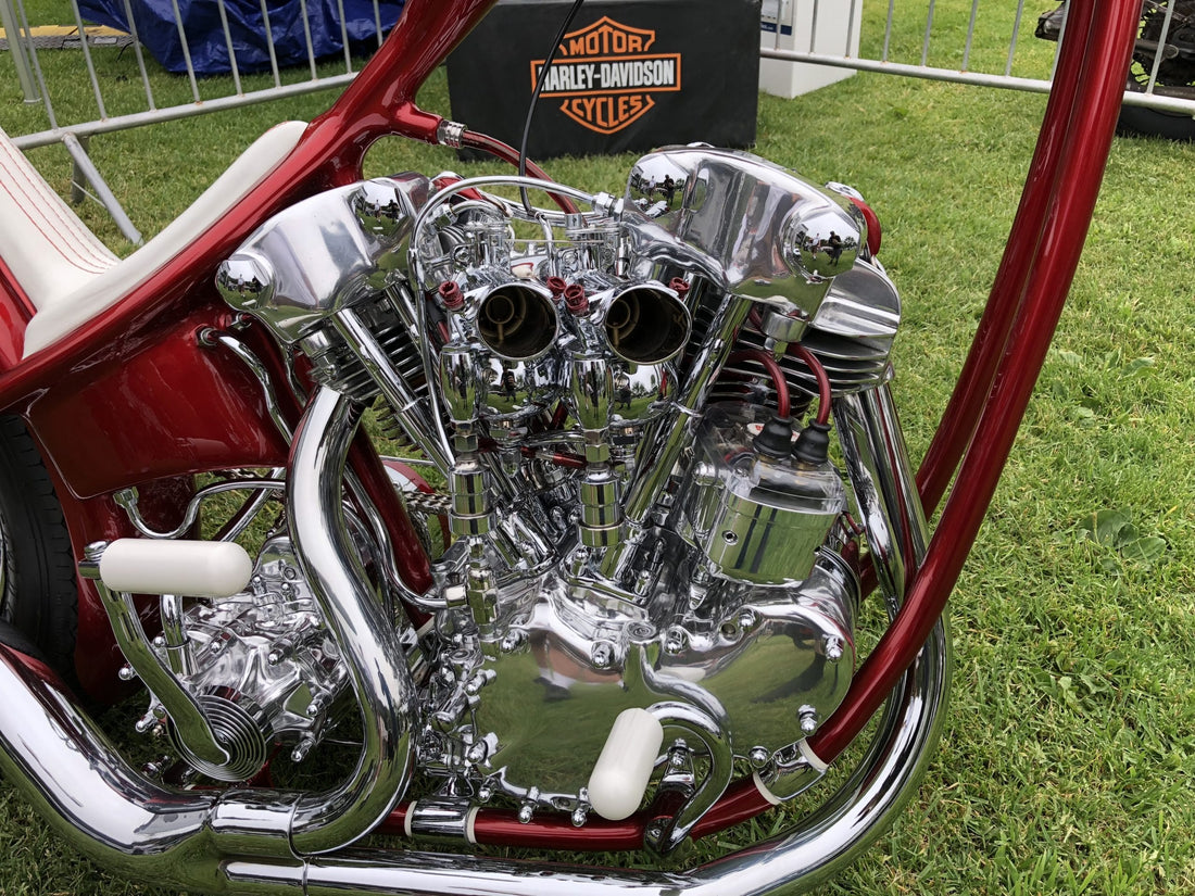 The Engines of Born-Free 10