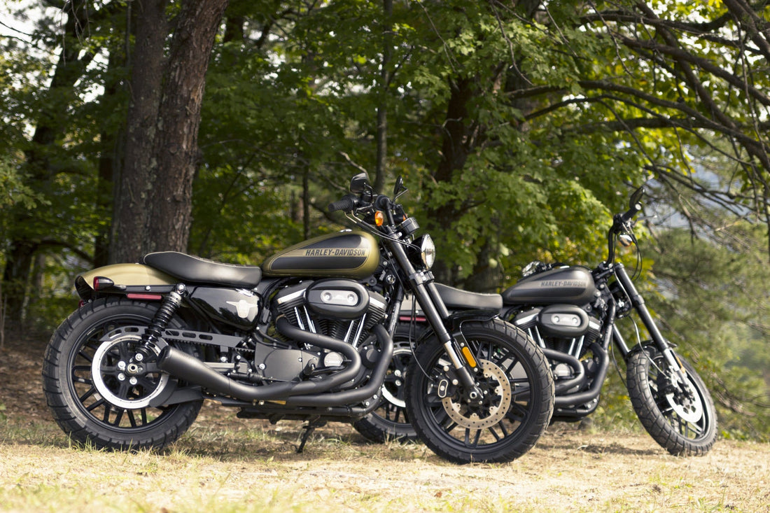 Smoky Mountain H-D Shed Special Sportster Scramblers!