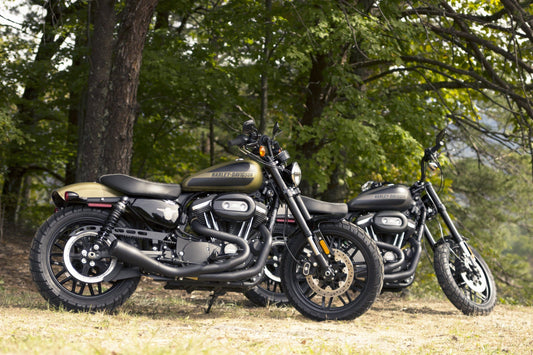 Smoky Mountain H-D Shed Special Sportster Scramblers!