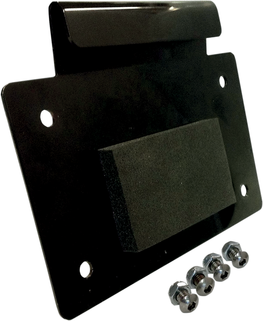 ALLOY ART License Plate Mount - Black LD-1