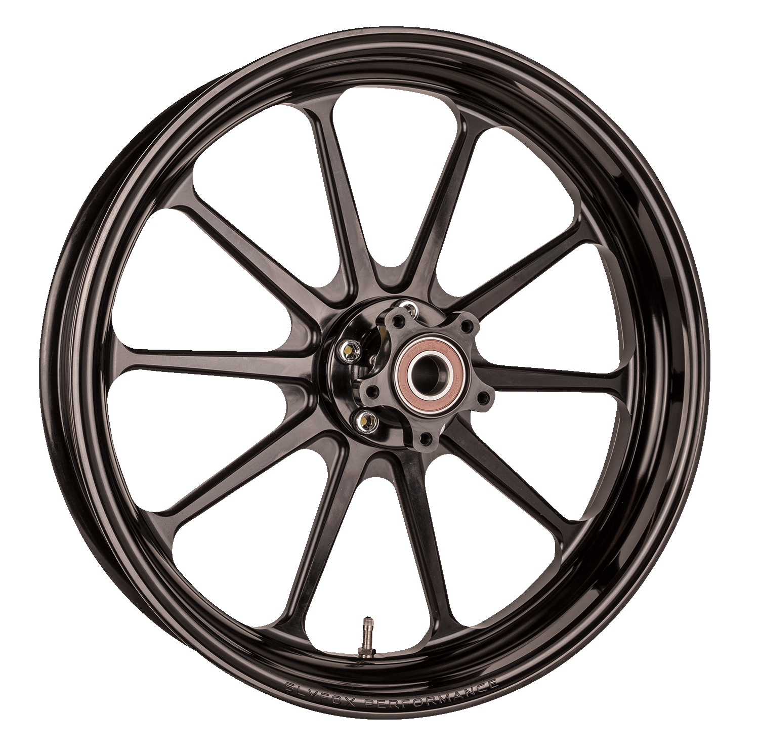 SLYFOX Track Pro Front Wheel - 19x3 inches for Dual Disc Systems, Black - Part #12027905RSLYAPB