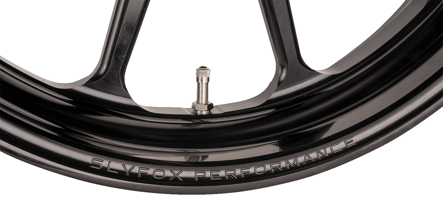SLYFOX Track Pro Front Wheel for Dual Disc with ABS – 19x3 Inches – Black – Part #12047905RSLYAPB