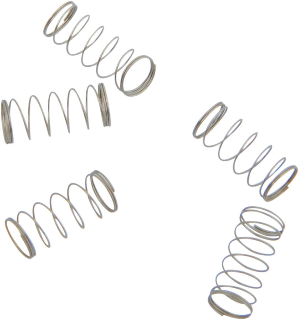 S&S CYCLE Check Ball Springs - 5 Pack Part 11-2392