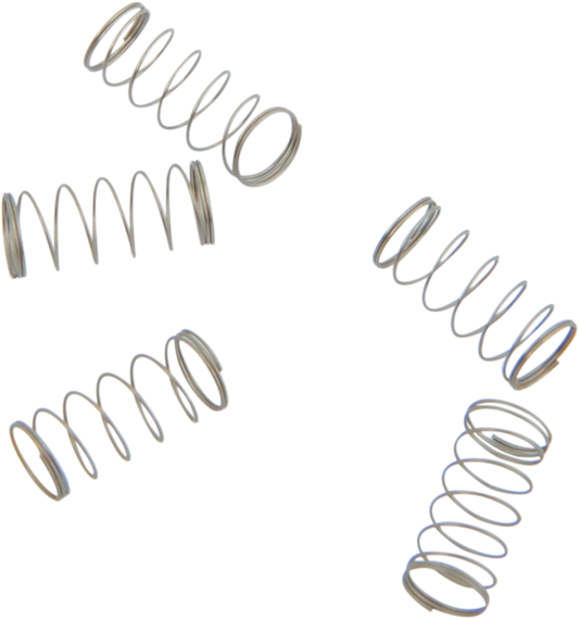S&S CYCLE Check Ball Springs - 5 Pack Part 11-2392