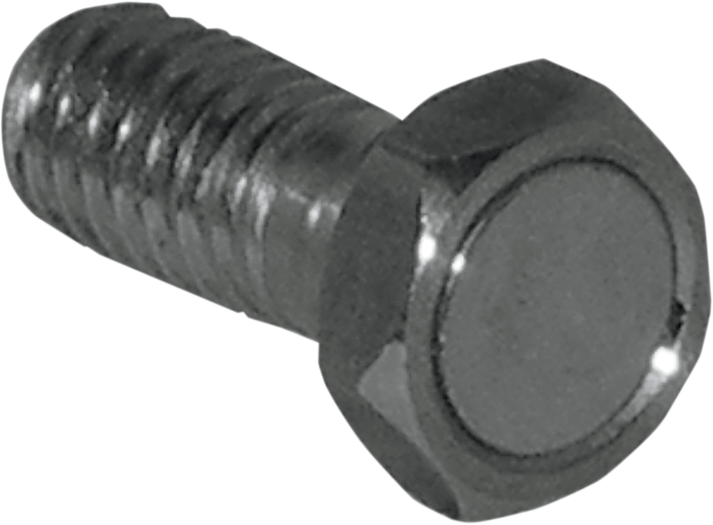 KOSO NORTH AMERICA Speed Sensor Magnet Bolt - M6 x P1.1 x 19.7 mm L BF010610