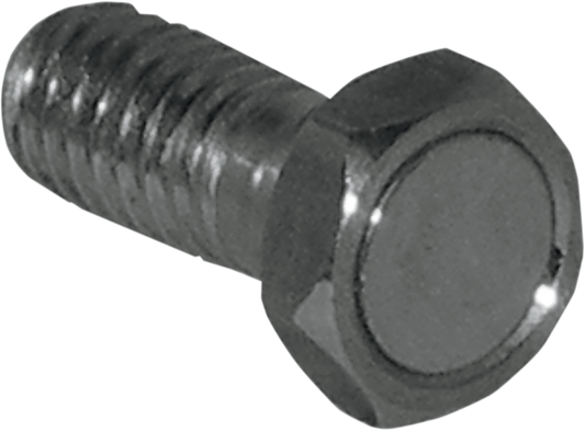 KOSO NORTH AMERICA Speed Sensor Magnet Bolt - M8 x P1.25 x 22.5 mm L BF010820