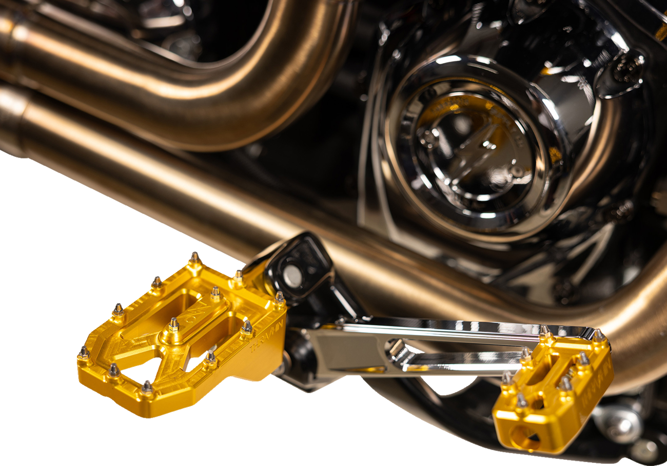 THRASHIN SUPPLY CO. Aggressor Foot Pegs - Rear - Gold - HD '72-'25 TSC-2022-5-D