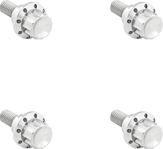 ARLEN NESS Bolt Kit - Windshield - 12-Point - Titanium - Silver 300-809