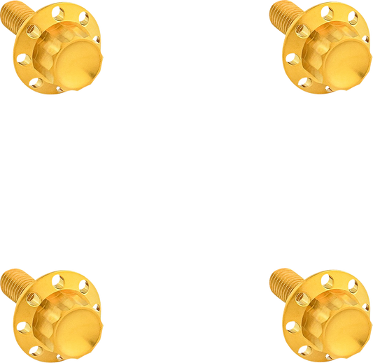 ARLEN NESS Bolt Kit - Windshield - Titanium - 12-Point - Gold 300-841