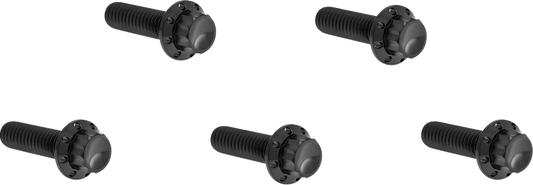 ARLEN NESS Bolt Kit - Derby Cover - 12-Point - Titanium - Black 300-924