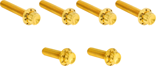 ARLEN NESS Bolt Kit - Cable Clutch - Titanium - 12-Point - M8/Twin Cam - Gold 300-705