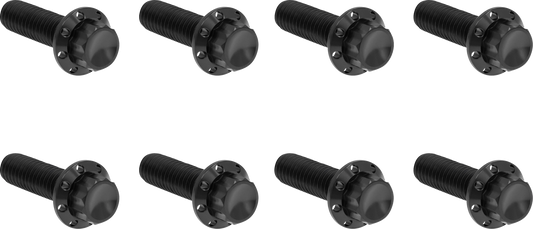 ARLEN NESS Bolt Kit - Trap Door - Titanium - 12-Point - M8 - Black 300-710