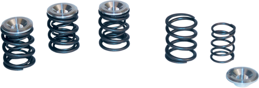 S&S Cycle Valve Spring Kit 0.550" Lift for Panhead and Shovelhead Engines 48-84 | Part No. 90-2053