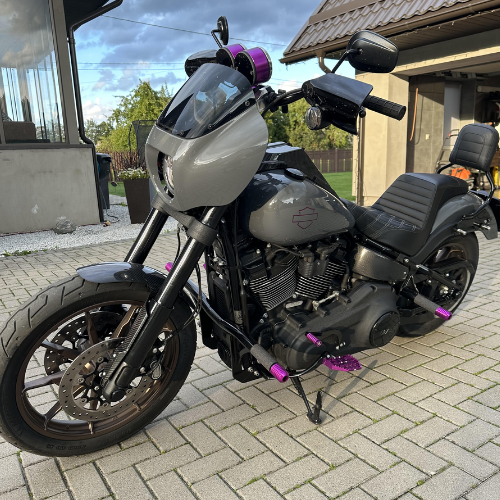OG Moto  Rear Crash Bar for Harley-Davidson M8 Softail