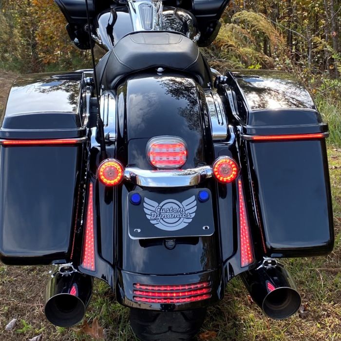 custom dynamics LED bagger